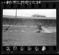 Marvin Cantrell Calf Roping