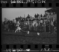 Clark Bros. Rodeo Kids