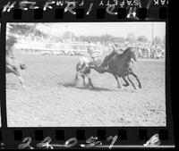 Jim Smith Steer Wrestling