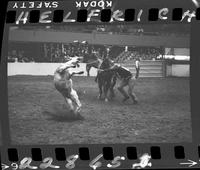 Bob Wiley Calf Roping