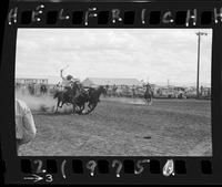 Bud Clemens Steer Wrestling