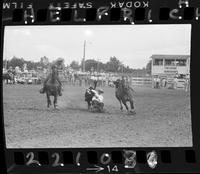 Jim Smith Steer Wrestle