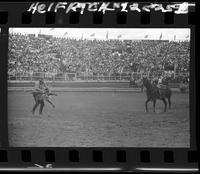 Harry Charters Calf Roping