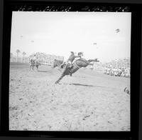 Jim Mihalek on Albuquerque