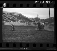 Jim Rodriguez Calf Roping