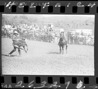 Donnie Yandell Calf Roping