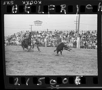 Dale Smith Calf roping