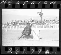 Sammy Thurman Barrel Racing