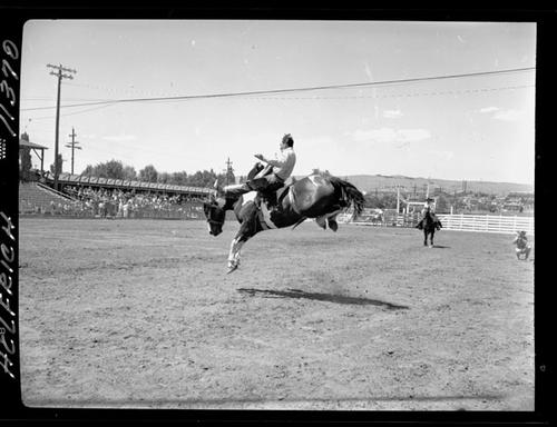 Buck Boyce on Pow Wow | Digital Collections at Dickinson Research Center