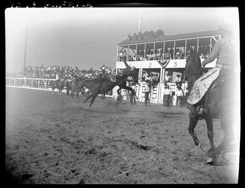 Bill Kunkle off Miss Red Bluff | Digital Collections at Dickinson ...